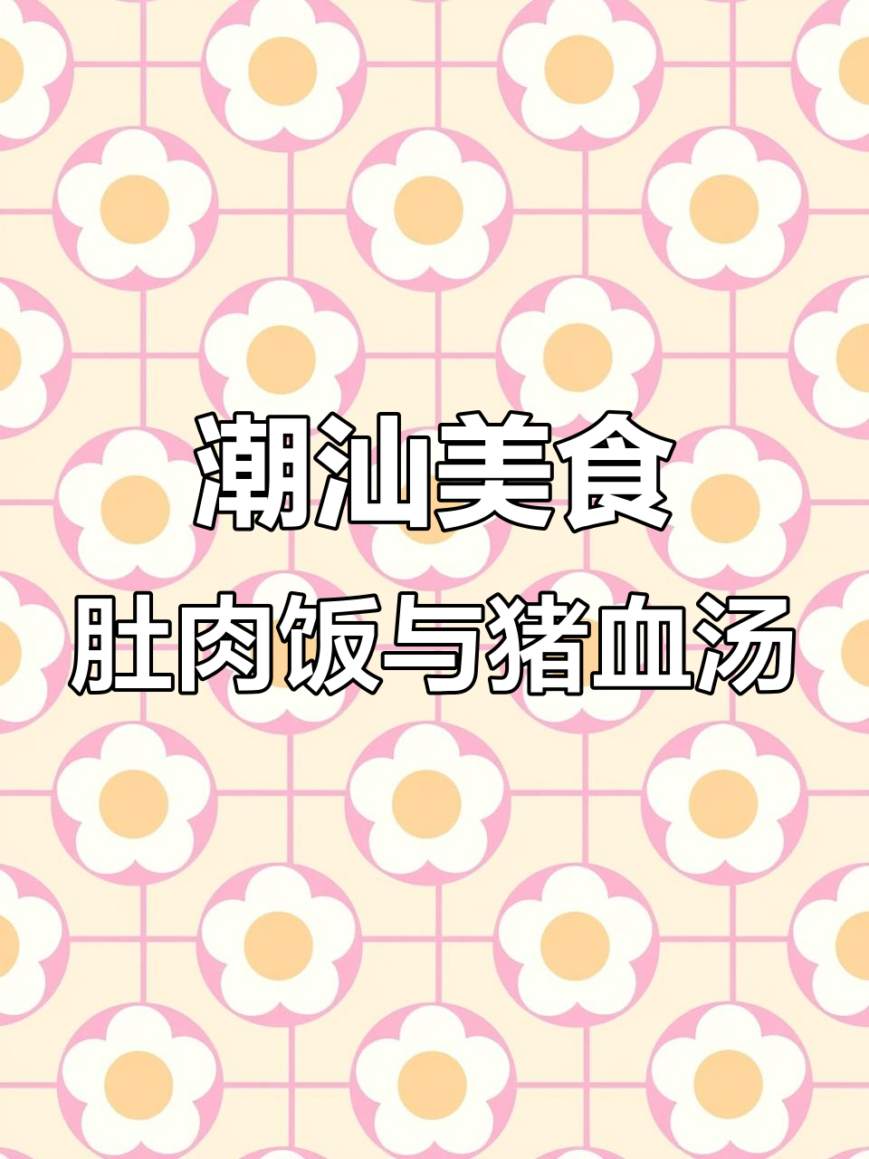 潮汕肚肉饭配珍珠菜猪血汤,夜宵必备美味组合