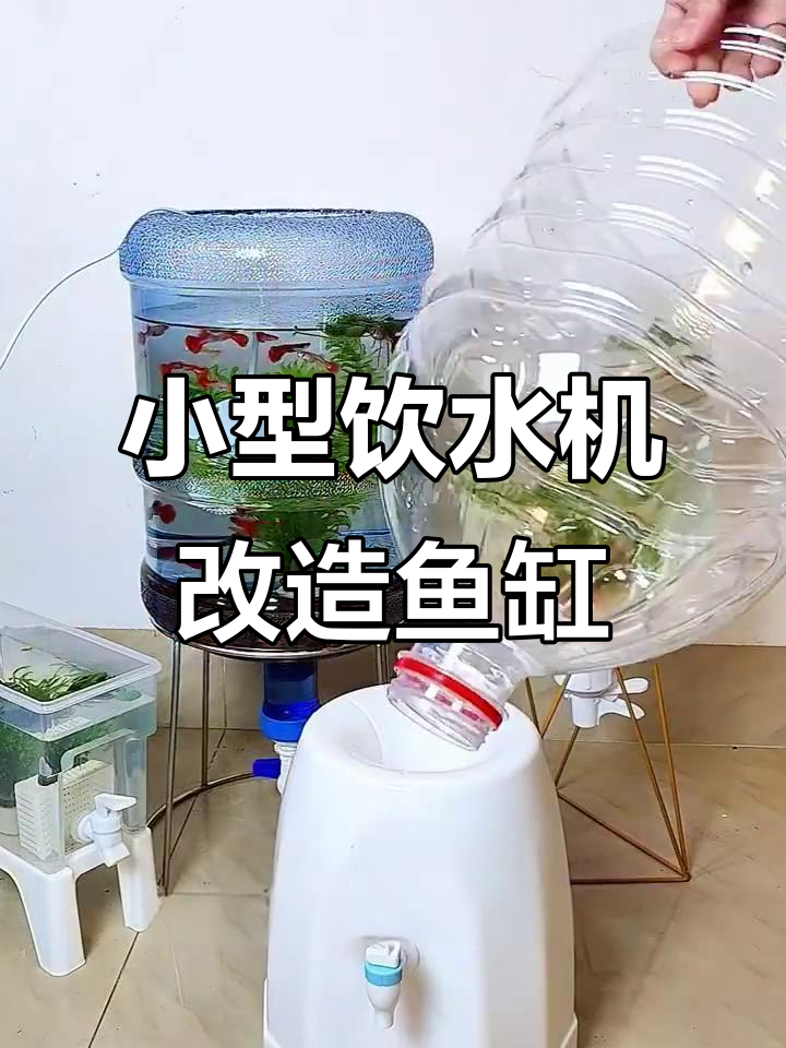 饮水机变身鱼缸,简单几步搞定!
