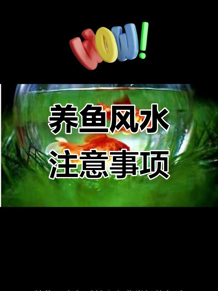 客厅养鱼风水禁忌,避免这些误区财运更旺