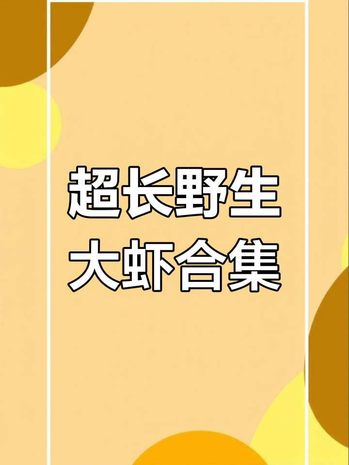 30厘米超大野生虾,黑虎、白丁全都有!