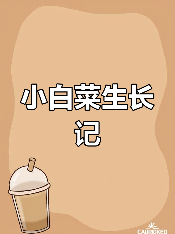 小白菜的成长魔法,愿望种子悄然发芽