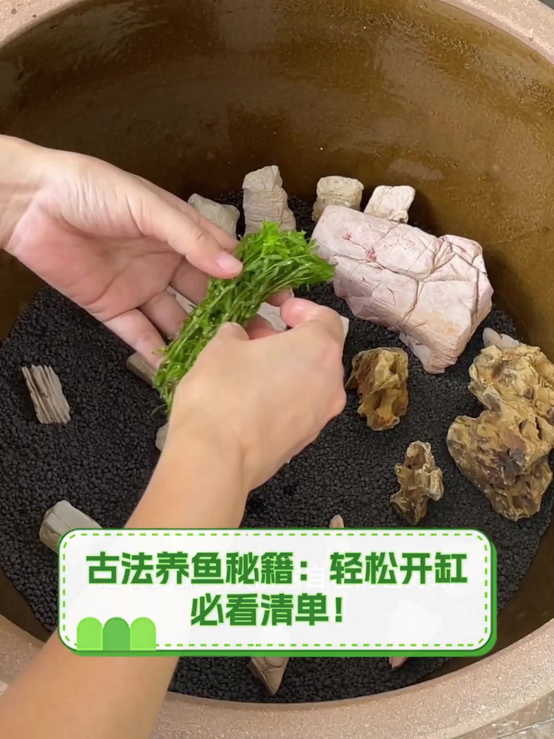 古法养鱼秘籍:轻松开缸,必看清单!