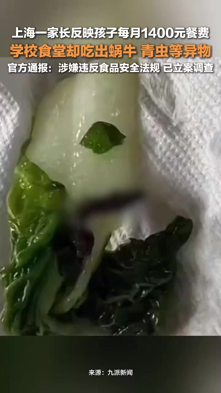官方通报学校食堂蔬菜中现蜗牛:涉嫌违反食品安全法规,已立案调查