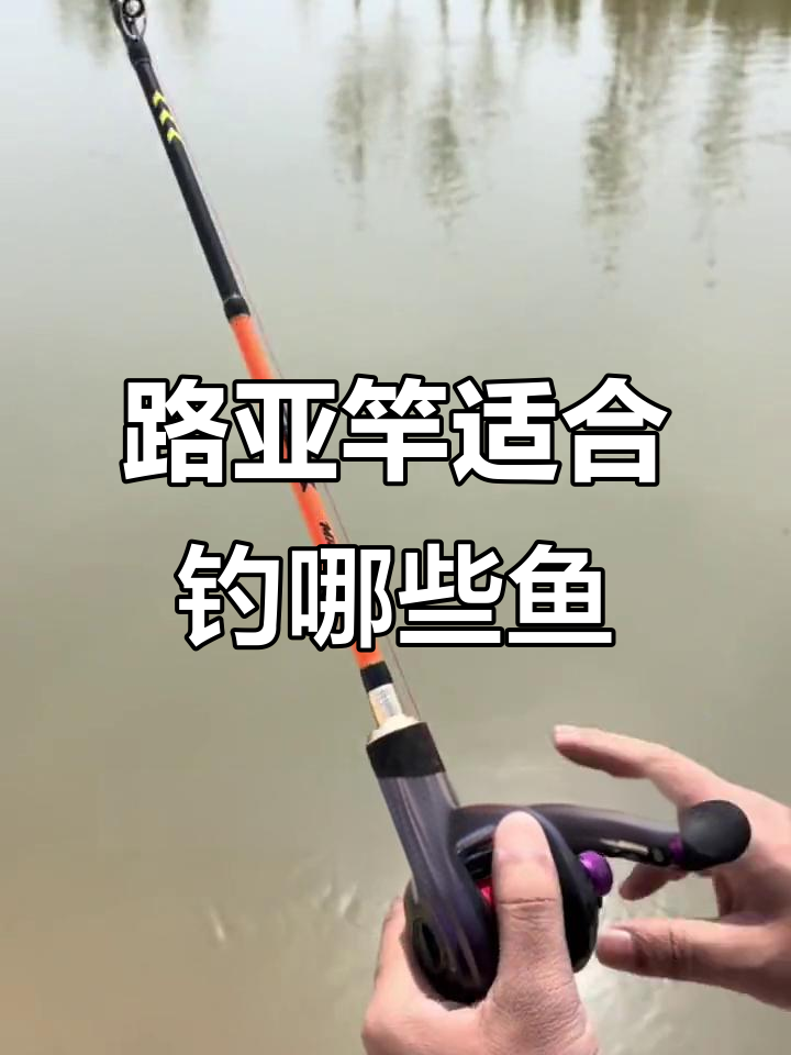 路亚竿能钓什么鱼?鲫鲤不行,这些才是目标对象
