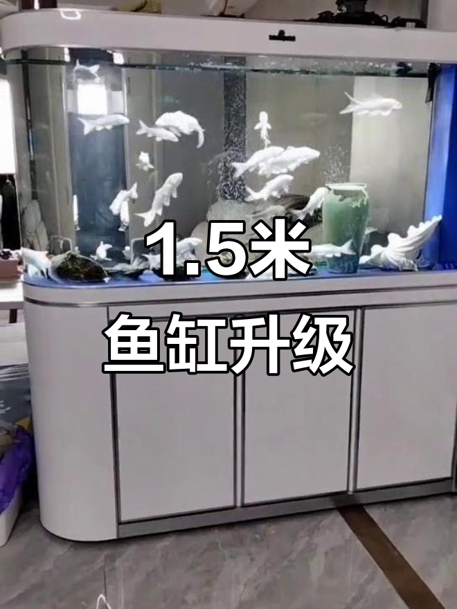 1.5米子弹头鱼缸升级,变频水泵安装效果惊艳