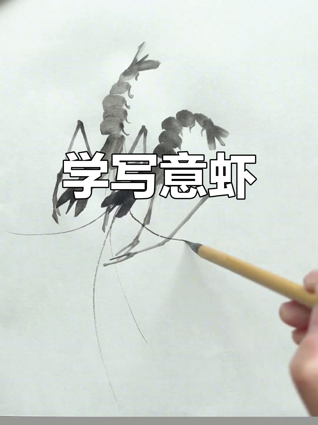 轻松学写意虾，掌握国画技巧