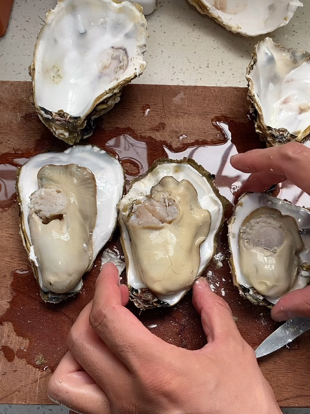这是水煮生蚝和开生蚝教程