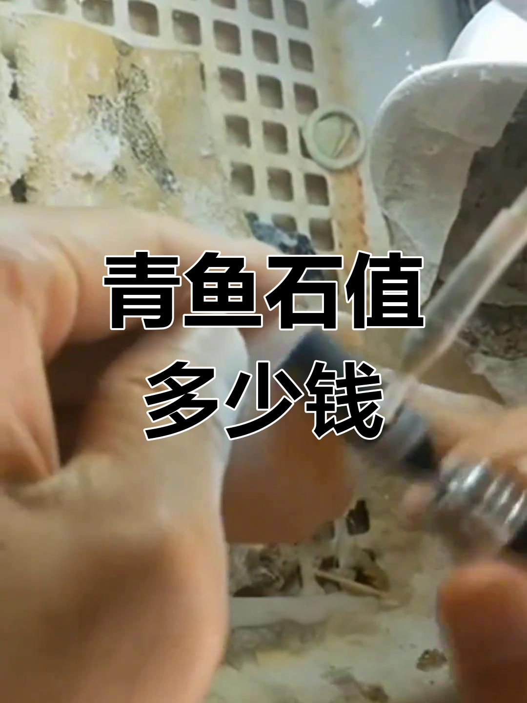 青鱼喉骨的珍贵价值