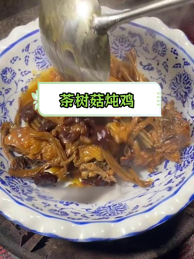 营养丰富的茶树菇焖鸡,简单又美味