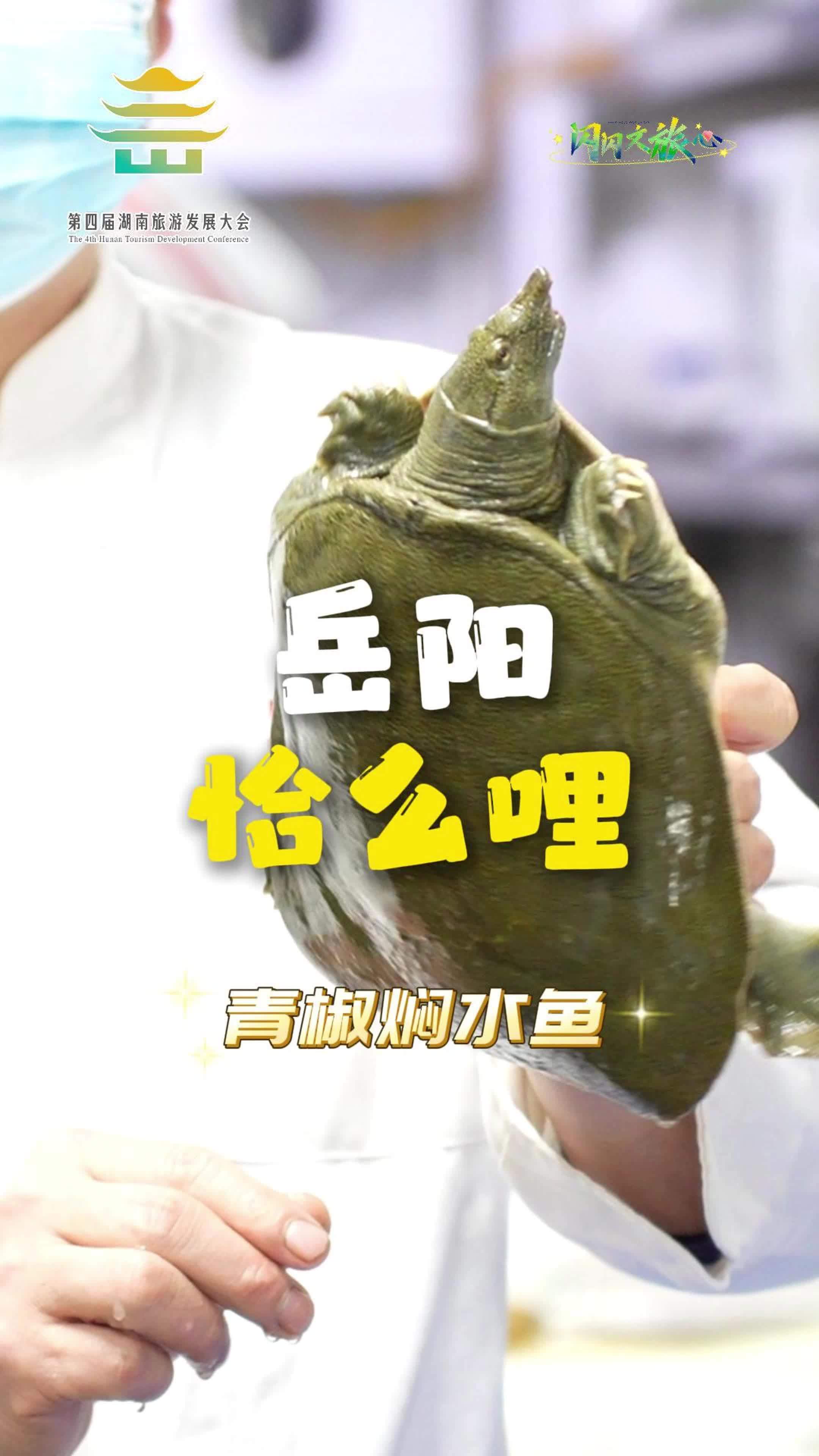 岳阳恰么哩⑧|青椒焖水鱼,上一秒蹦跶,下一秒被炖香了!吃货日记!欢迎和我一起走进舌尖上的岳