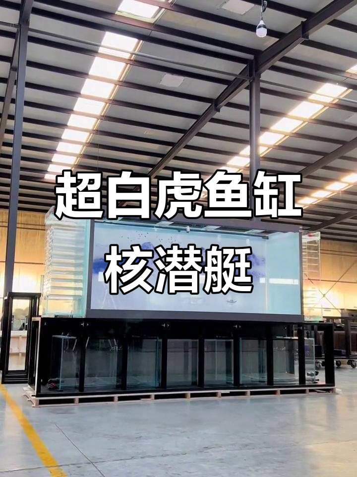 核潜艇造型鱼缸,四米二超白玻璃设计,双层过滤系统解析