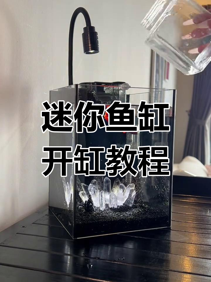 小型桌面鱼缸开缸全流程,轻松打造完美水景