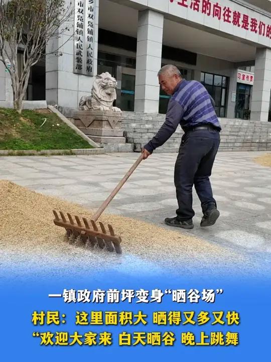 白天晒谷晚上跳舞!11月6日报道,长沙一镇政府前坪变身晒谷场,村民:这里面积大,晒得又多又