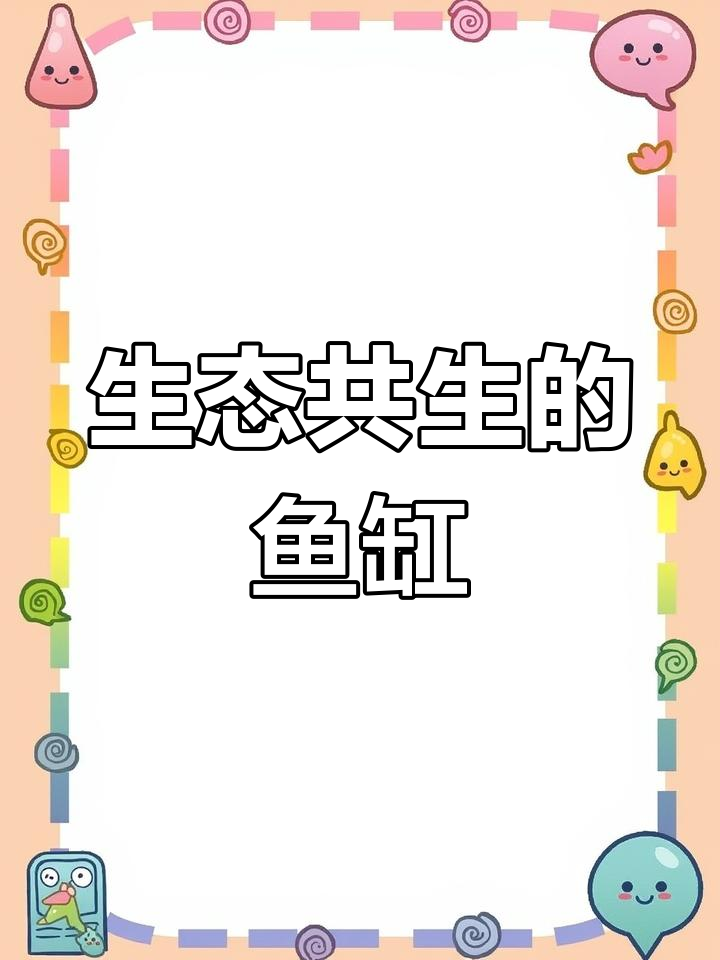 鱼与菜共生,美观又环保,循环利用,生态新体验