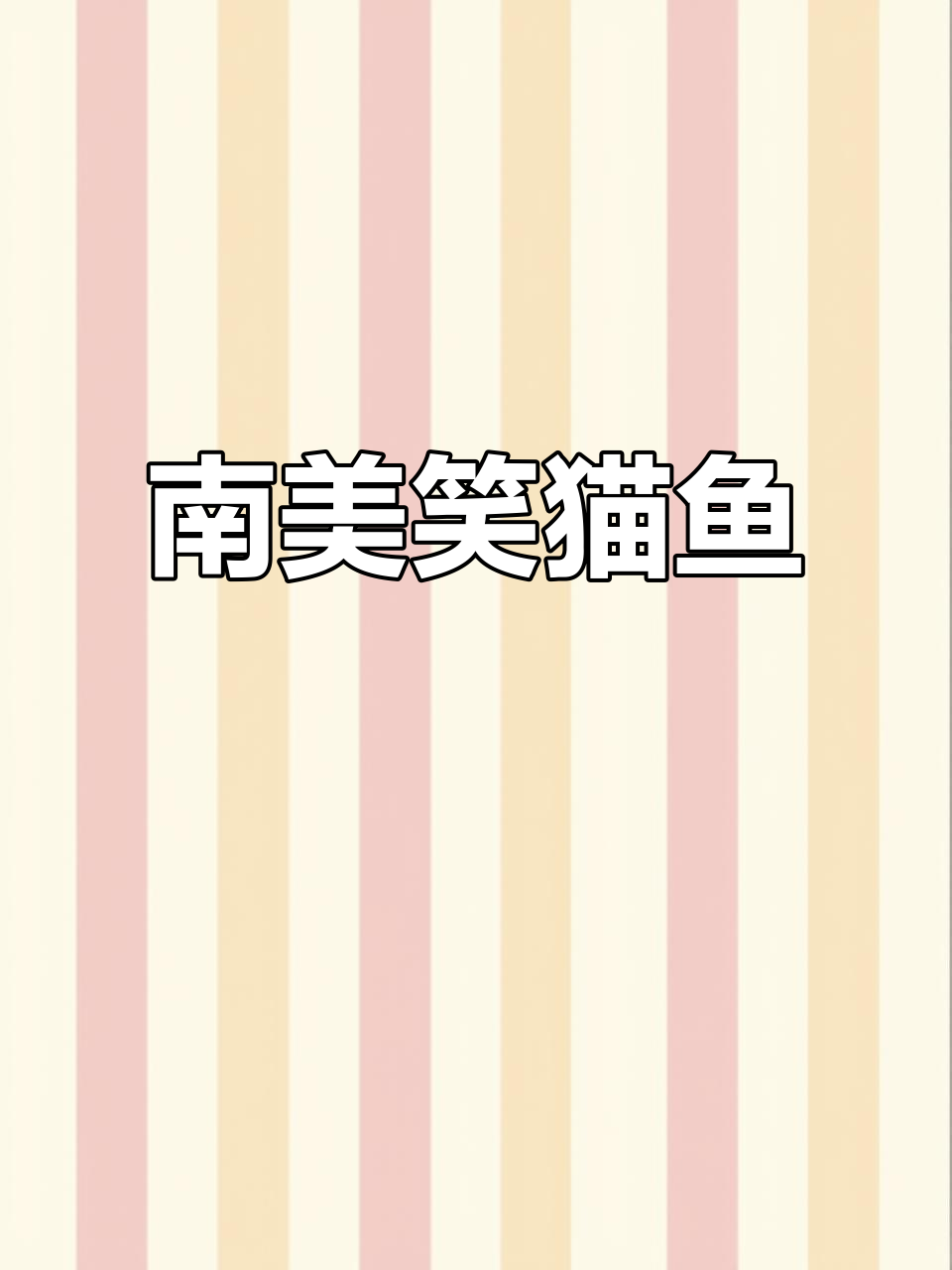 笑猫鱼:南美热带观赏鲶,温和胆小躲藏高手