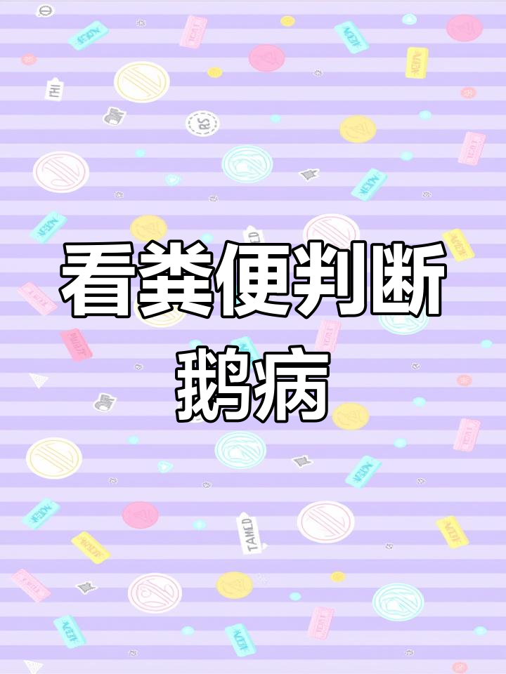 鹅粪便颜色能揭示健康问题,学会这些你也能当兽医