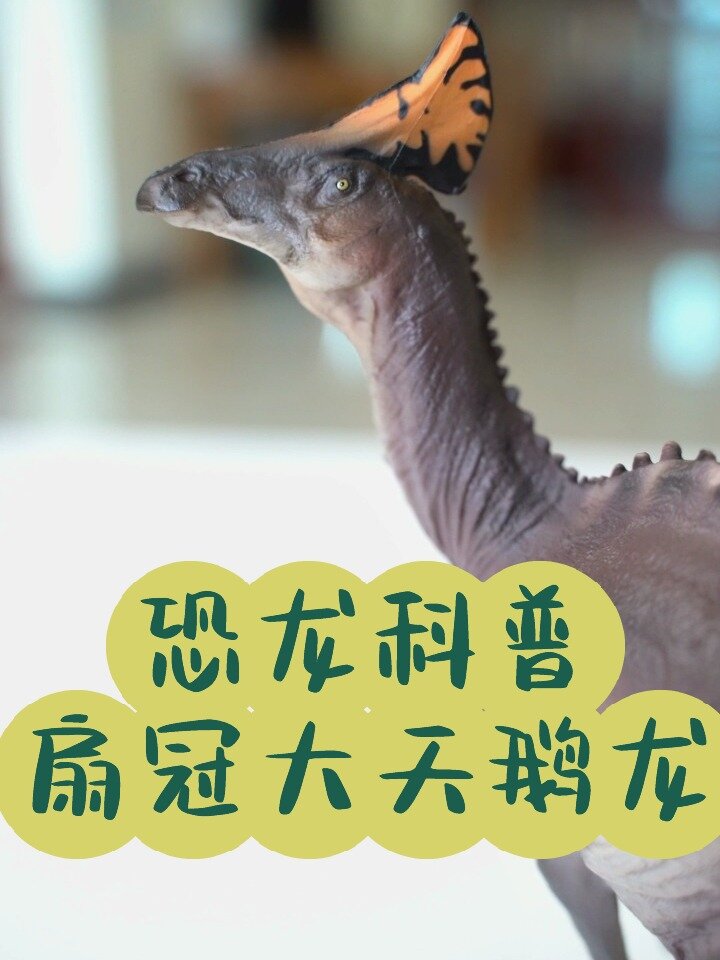 恐龙科普——扇冠大天鹅龙