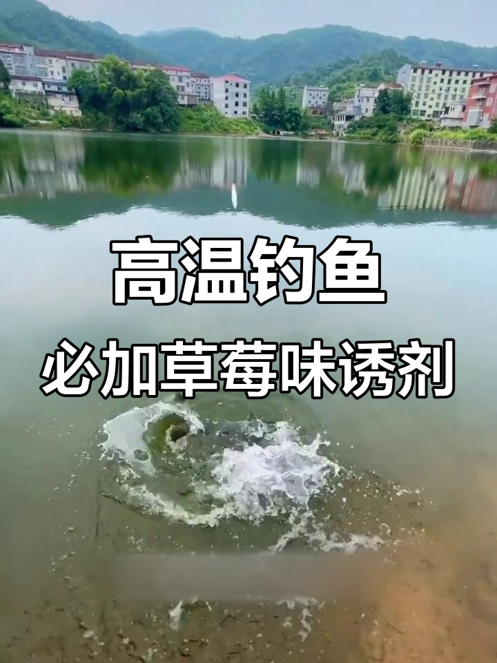 草莓味鲢鳙饵料添加剂,高温钓大头鱼必备秘制配方