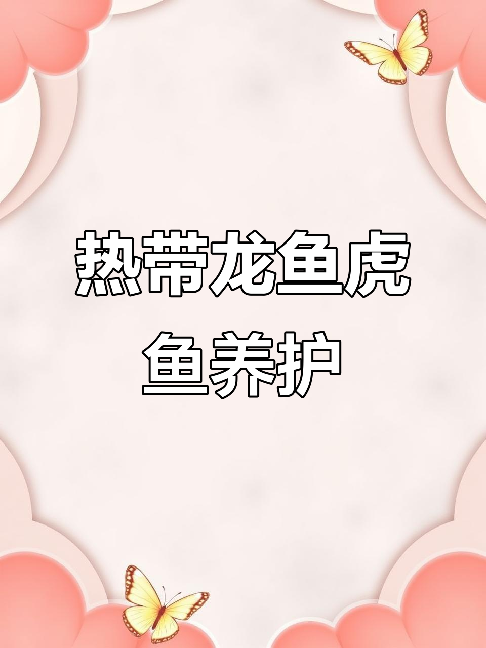 龙鱼与虎鱼的养殖技巧:水质、水温全攻略