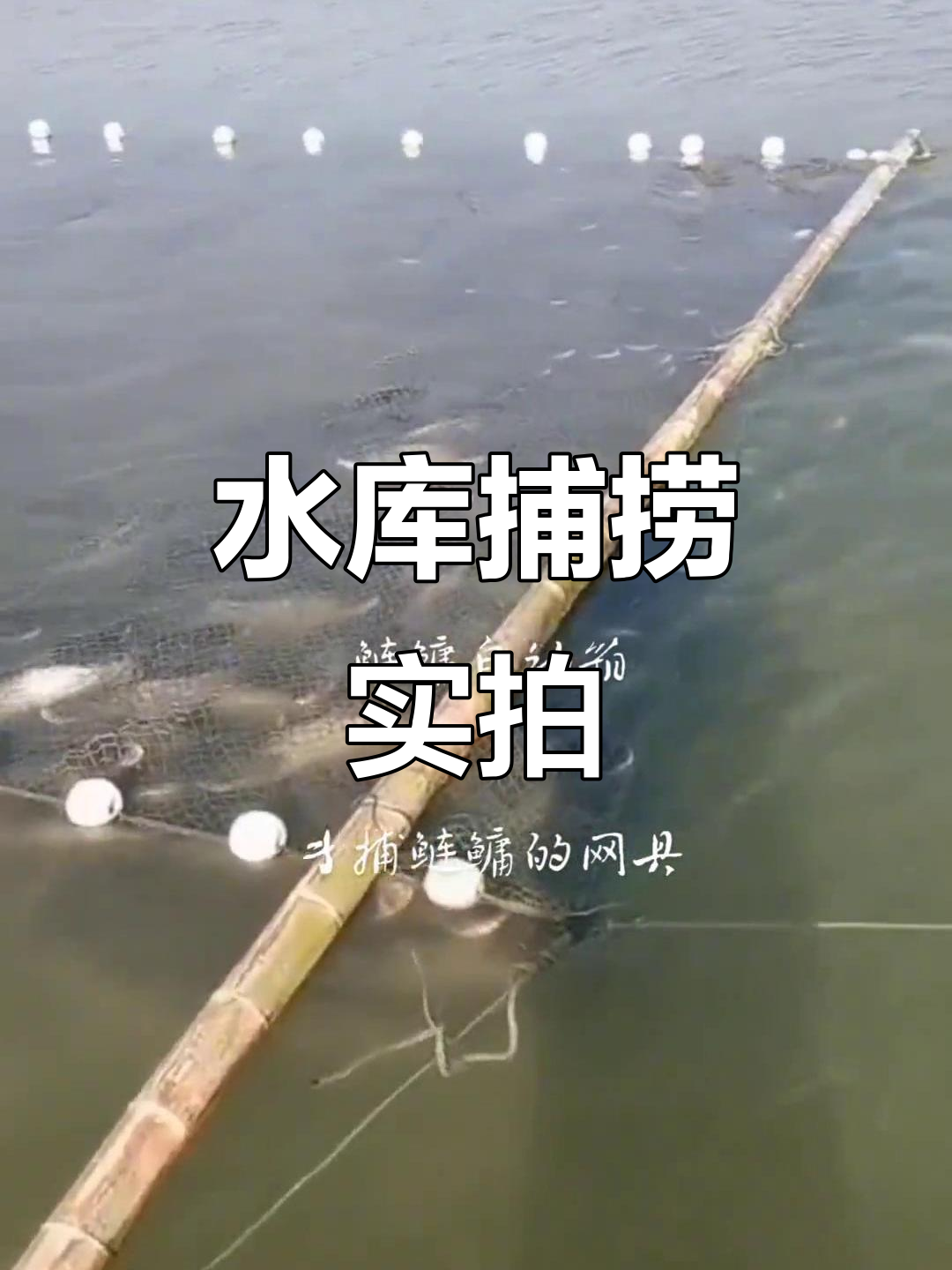 渔民捕鱼大作战：灯光网、迷魂阵与水库赶网的精彩瞬间