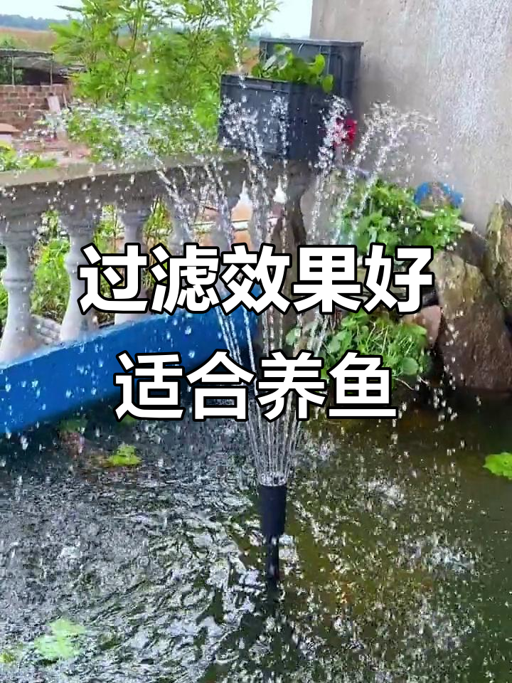 仰菌喷泉泵,放鱼池效果超赞!