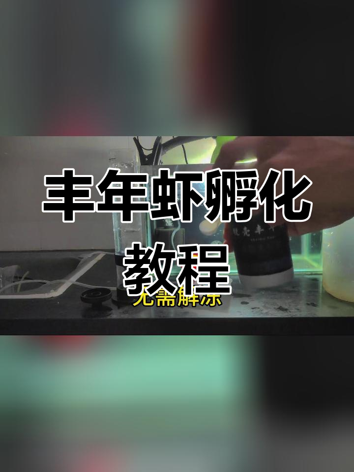 脱壳丰年虾卵孵化全过程,27小时后收虫