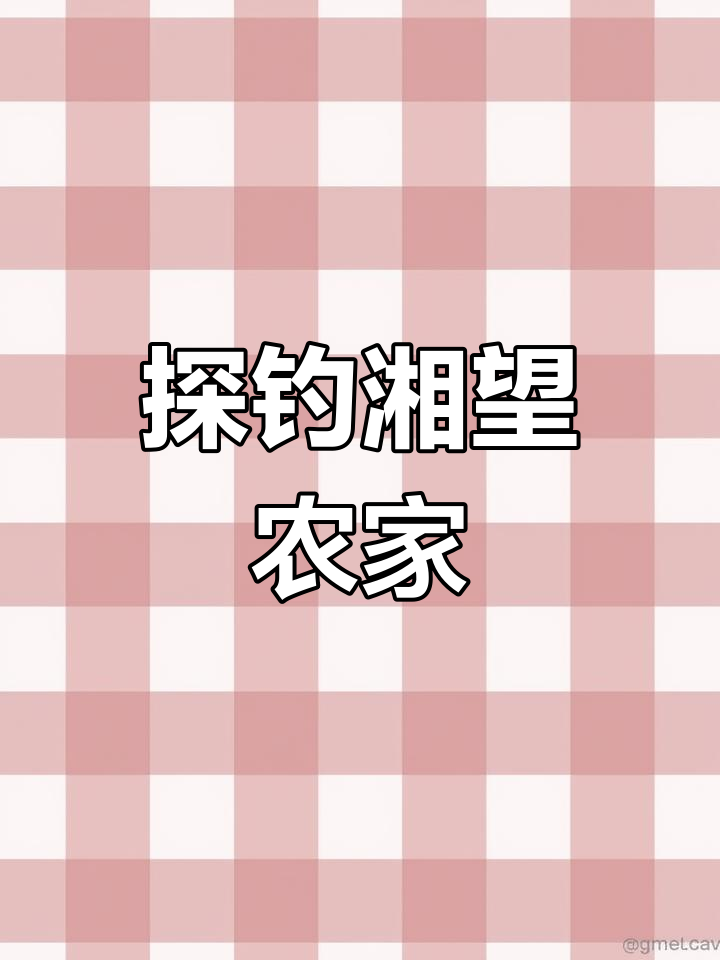 湘望农家乐钓鱼体验,直弹技巧大揭秘