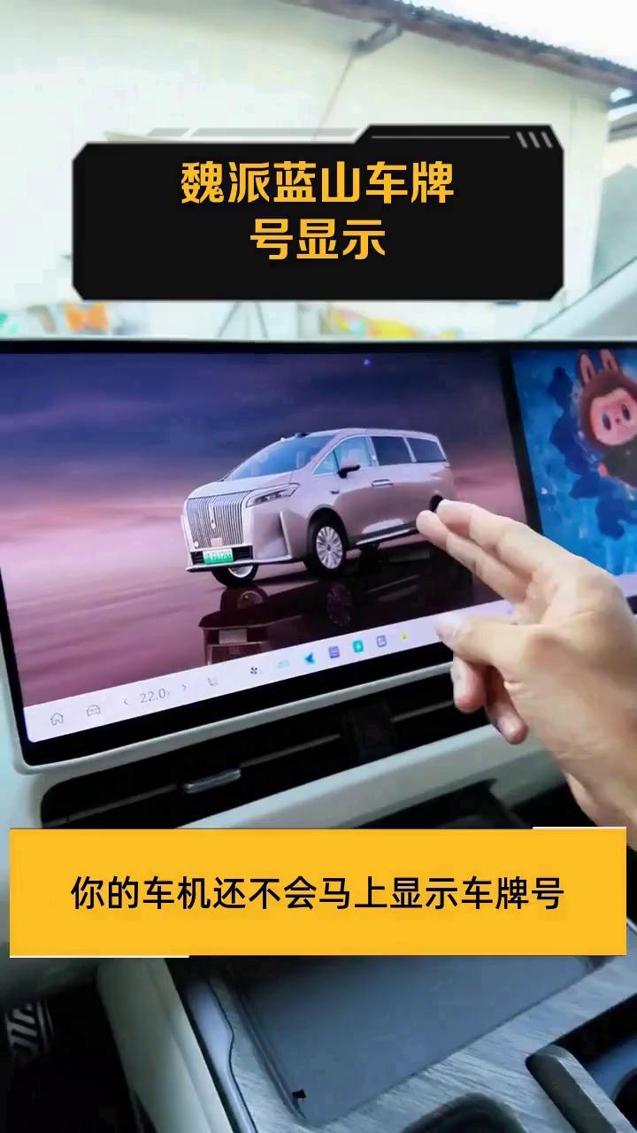 魏派蓝山车牌号显示