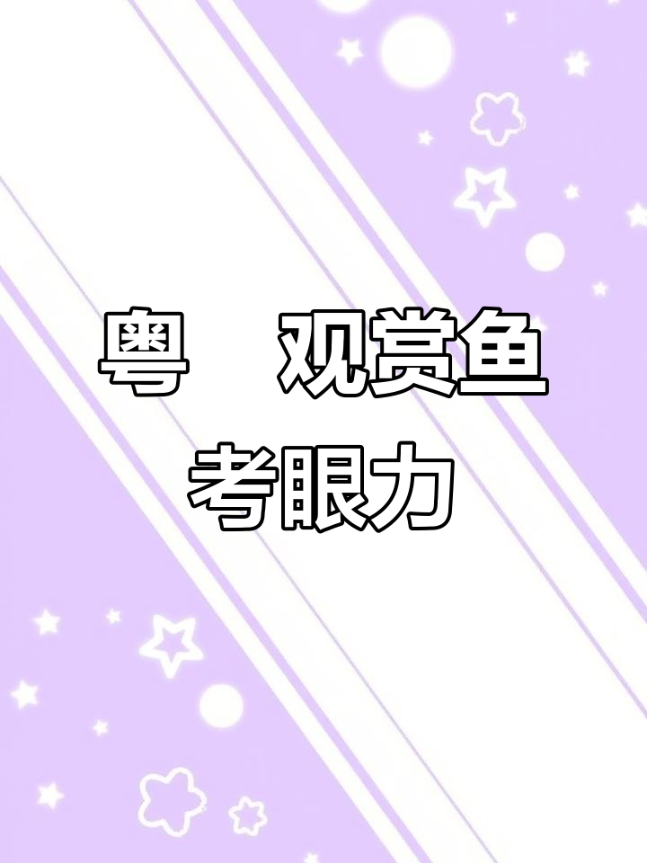 粤鳉青鳉鱼眼力大挑战,你能分辨出它们吗?