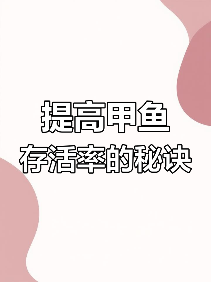 温室甲鱼苗转外塘养殖,提高存活率的关键技巧