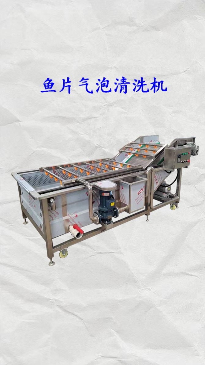 免浆鱼片气泡清洗机 鱼片加工设备 全自动洗鱼机器