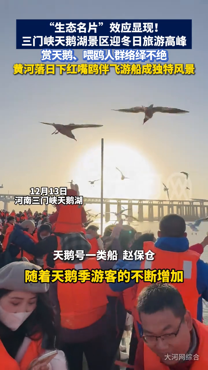“生态名片”效应显现!三门峡天鹅湖景区迎冬日旅游高峰