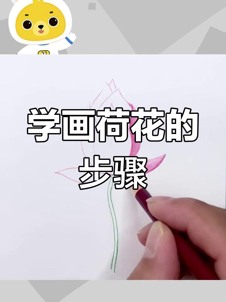 彩铅荷花绘制技巧,轻松学会