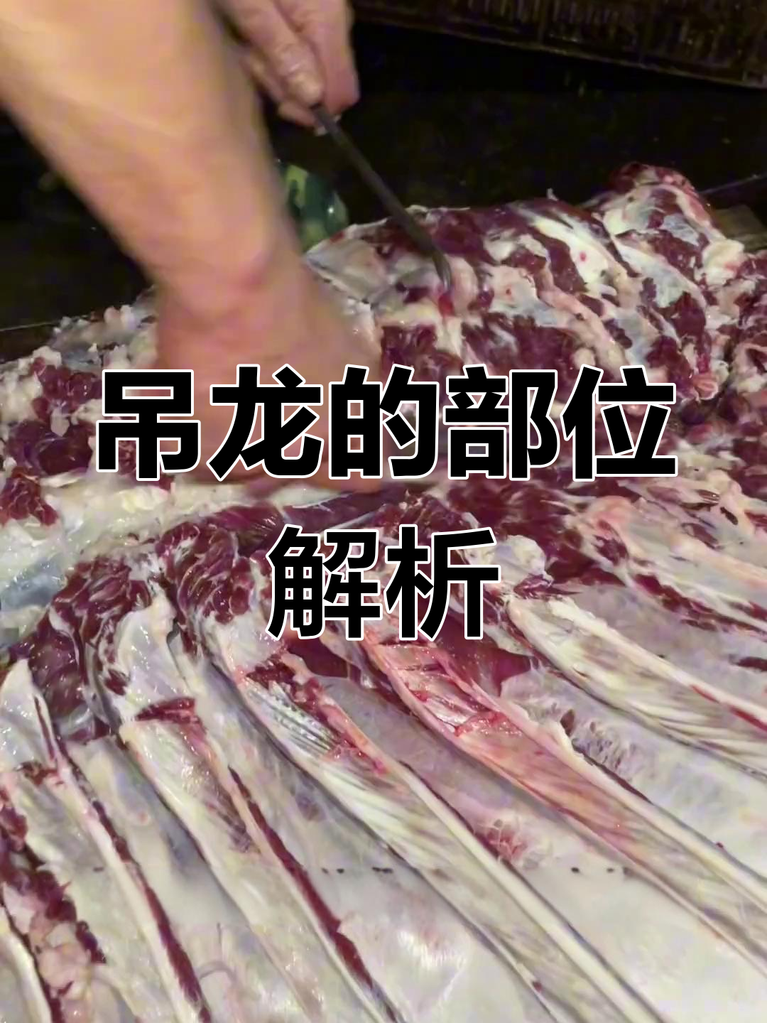 吊龙牛肉的精确位置揭秘