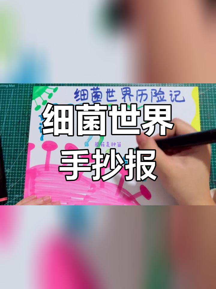 探索细菌世界的奥秘,手抄报带你走进微生物