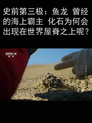 史前第三极:鱼龙 曾经的海上霸主 化石为何会出现在世界屋脊之上呢?
