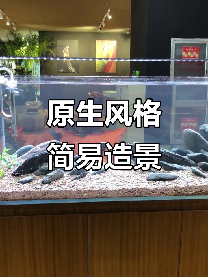 简单原生缸造景，打造清澈溪流效果