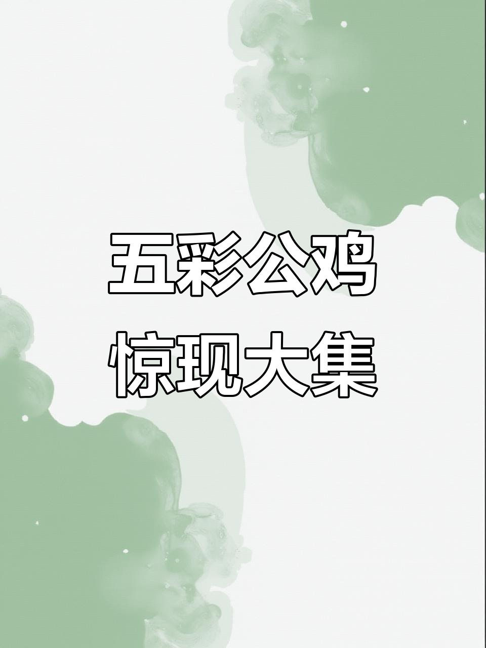 男子大集遇五彩公鸡,惊艳程度堪比课本插图!