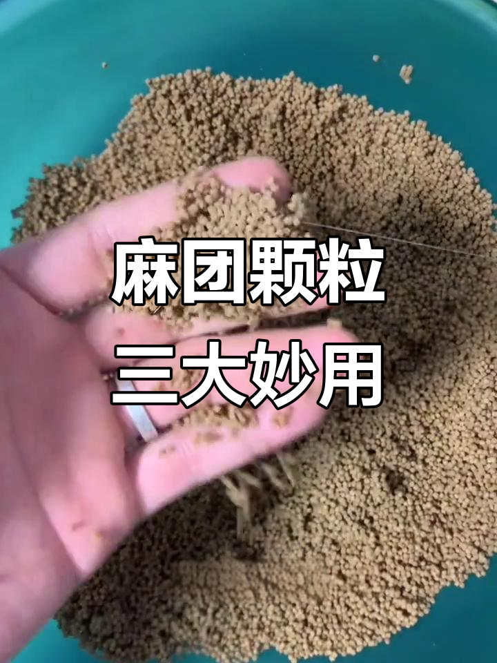 麻团颗粒三种神奇用法,钓鱼效果翻倍