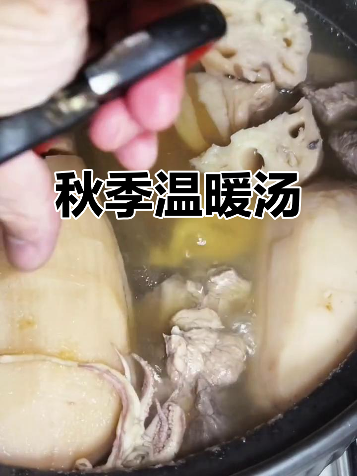 秋日暖汤,莲藕眉豆鱿鱼猪骨炖出满满幸福感