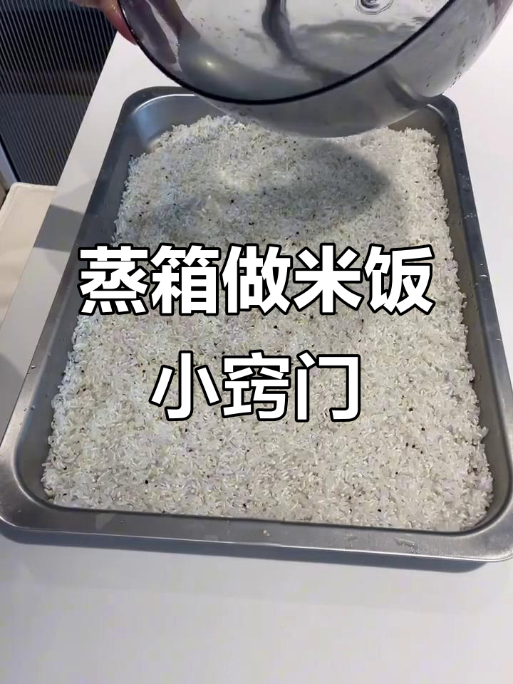 蒸箱备餐技巧:米饭均匀切块,打包更方便
