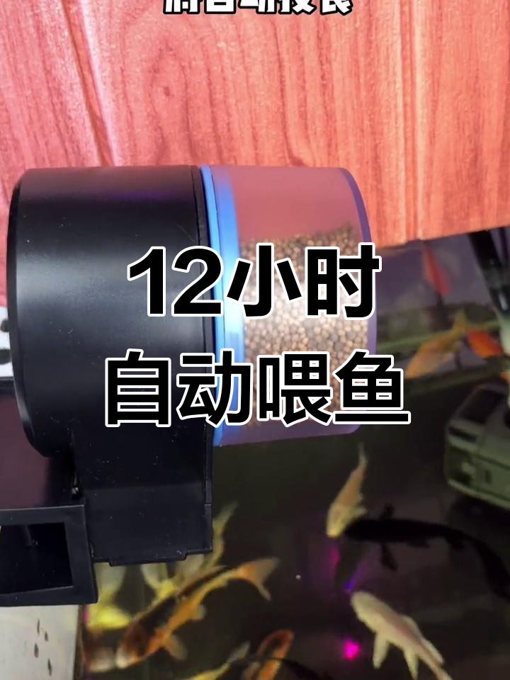 自动投食器安装教程,解决出门喂鱼难题