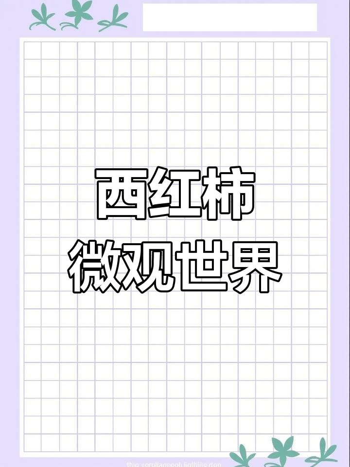 放大100倍看西红柿,果肉竟藏小秘密