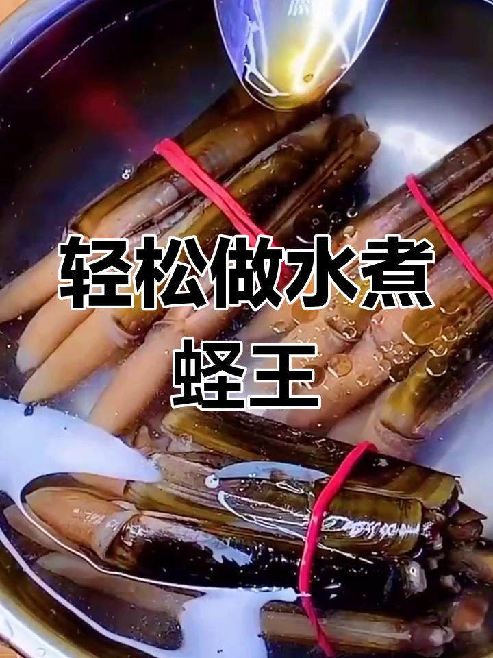 水煮蛏王肉,简单又美味!