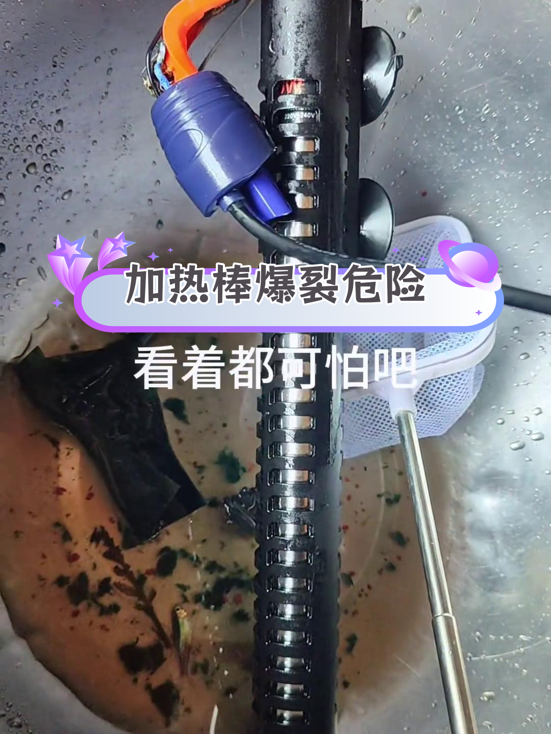 鱼缸加热棒爆炸,玻璃碎片飞溅