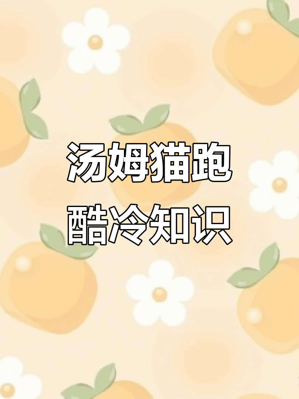 汤姆猫跑酷的隐藏任务与冷知识大揭秘