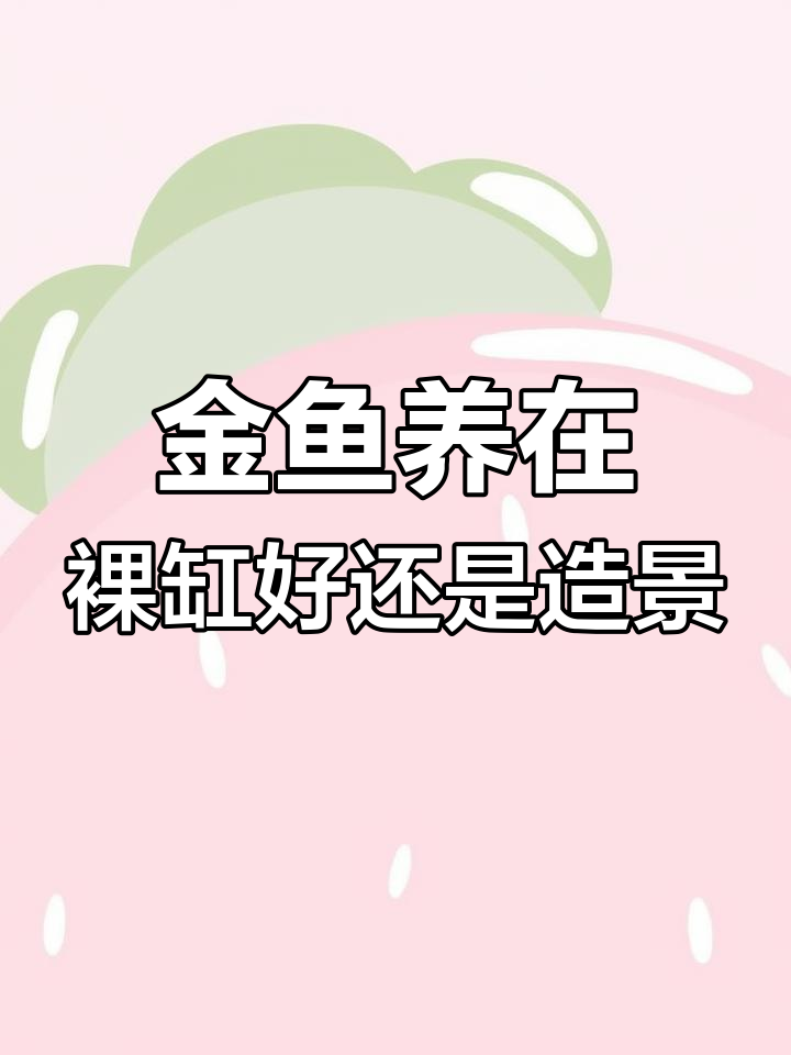 金鱼更喜欢裸缸还是造景?自然环境更舒适