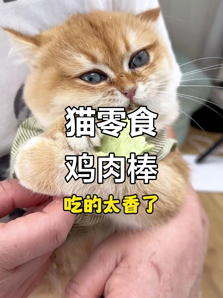 舔一舔、咬一咬,鸡肉草味棒棒糖冻干让猫咪停不下来