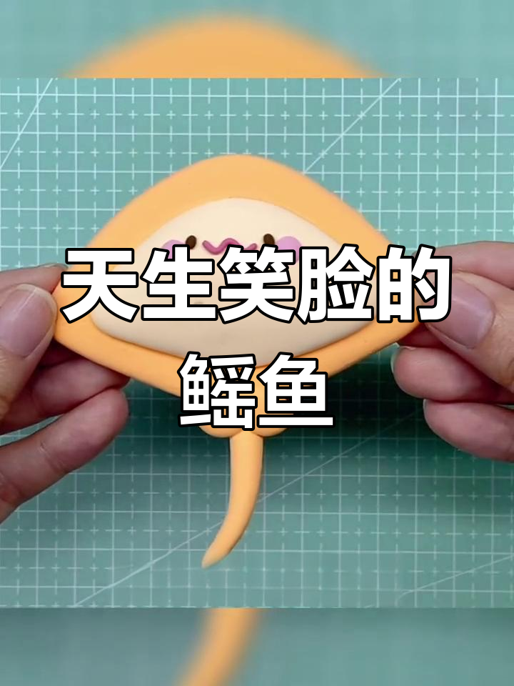 鳐鱼天生笑容,超萌!