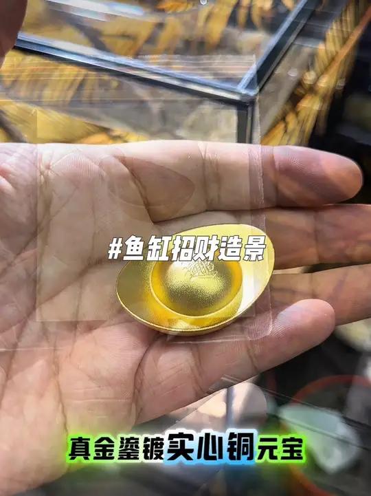 鱼缸招财造景 往鱼缸里放金元宝、秒变招财造景